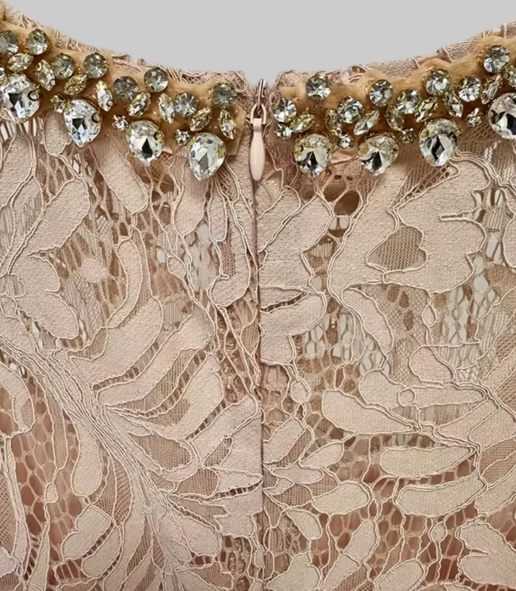 Crystal Embellished Neckline Lace Midi Dress