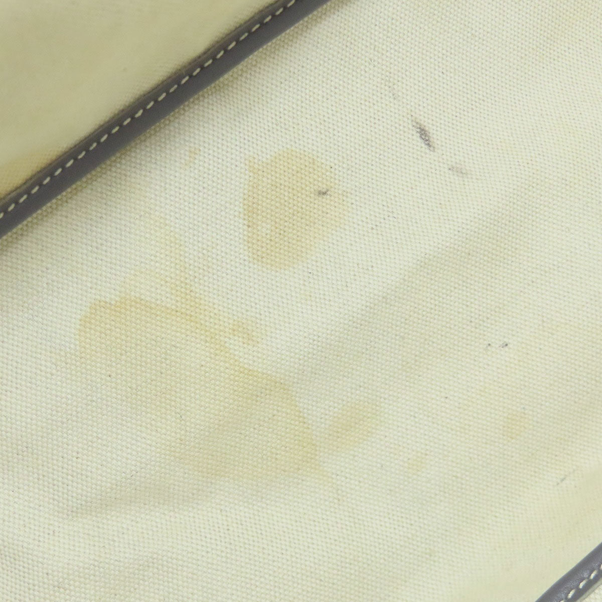 GOYARD Saint Louis GM in Goyardine Canvas