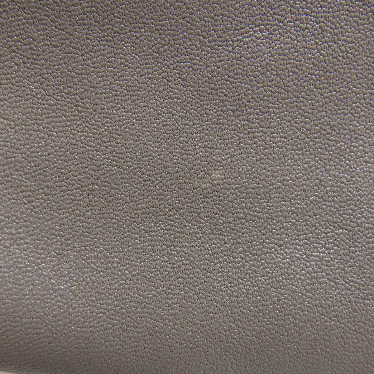 Longchamp Classic Leather Logo Line Leather Gray –