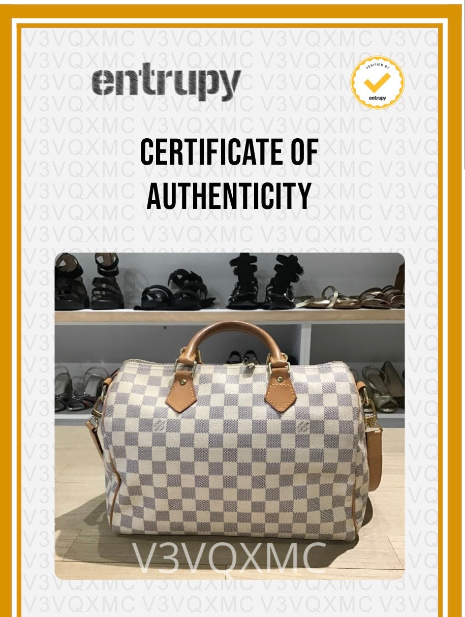 Louis Vuitton Damier Azur Canvas Speedy 30