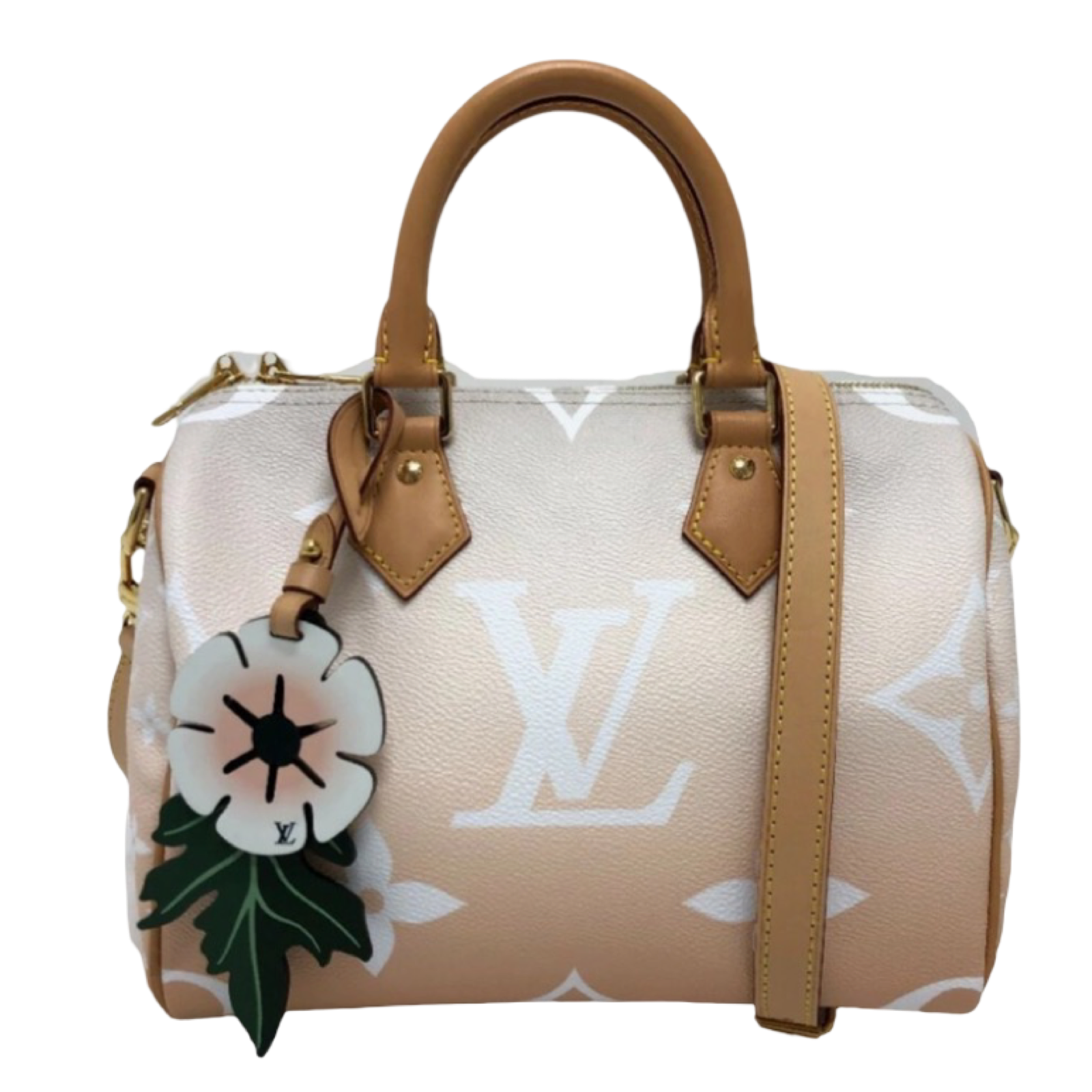 LOUIS VUITTON Speedy Bandoulière 25 Monogram Giant Gradient Pink Authentic Previously Owned
