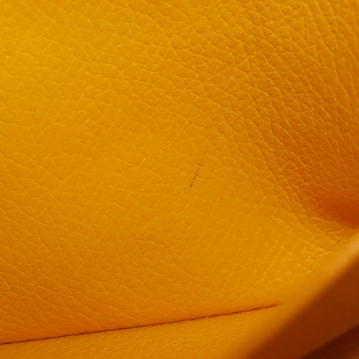 GOYARD  – Saigon Mini 2WAY – Brown Goyardine Canvas with Leather Trim