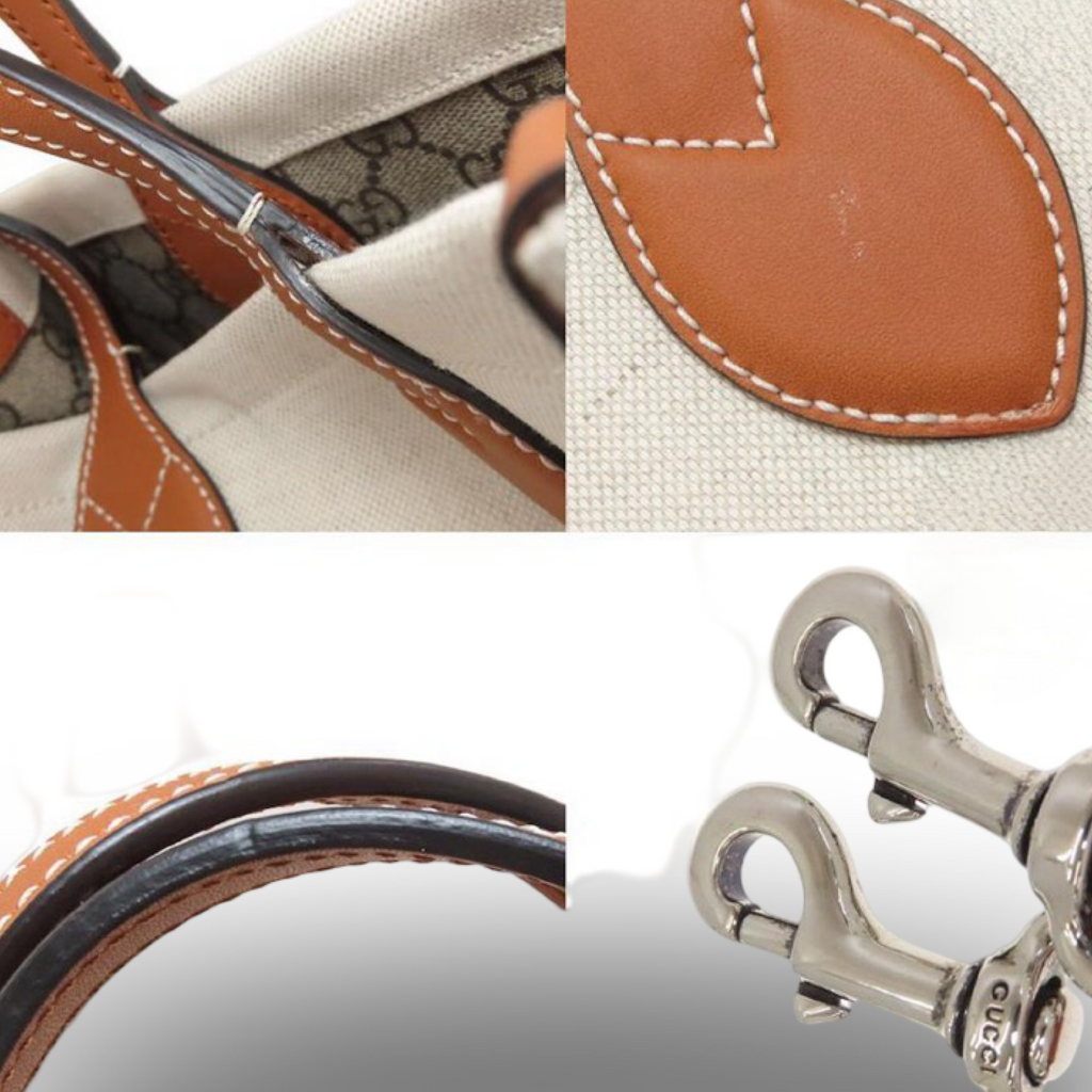 Gucci Print Small Canvas Handbag Beige Brown | Authentic Previously Owned