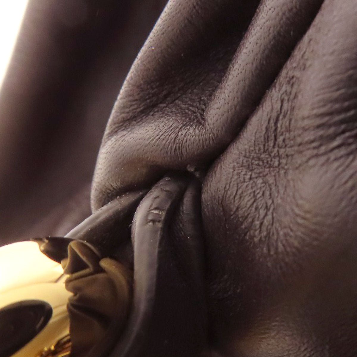 Bottega Veneta by Daniel Lee Chain Pouch Bag in Brown Calfskin with Gold Chain – Italy, Circa 2020 – Pre - Owned, 100% Authentic (Genuine) Item No.75514244 - LLUXE.CA