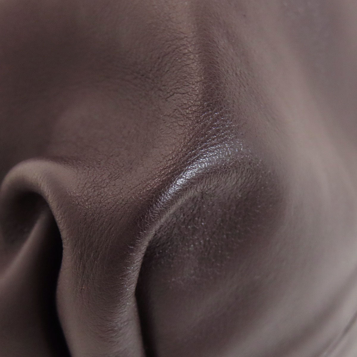 Bottega Veneta by Daniel Lee Chain Pouch Bag in Brown Calfskin with Gold Chain – Italy, Circa 2020 – Pre - Owned, 100% Authentic (Genuine) Item No.75514244 - LLUXE.CA