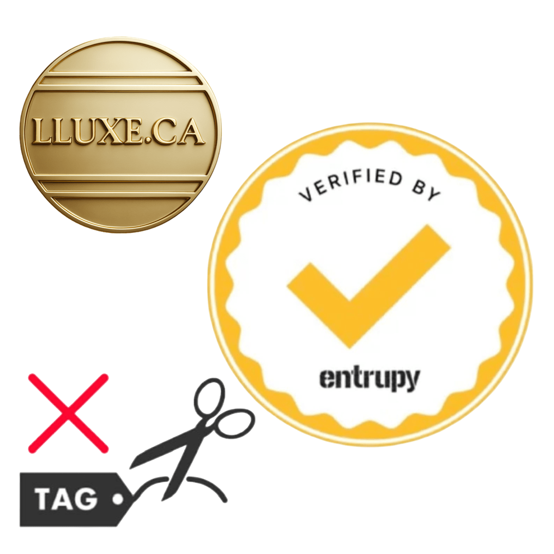 LOUIS VUITTON – Vanity NV PM – Model No. M45165 – Nicolas Ghesquière – Introduced 2020 – 100% Authentic Pre - Owned - LLUXE.CA